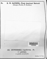 Image Associated With the Occurence